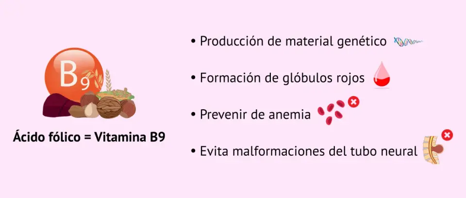 Cápsulas de ácido fólico - qué dosis elegir y cuándo